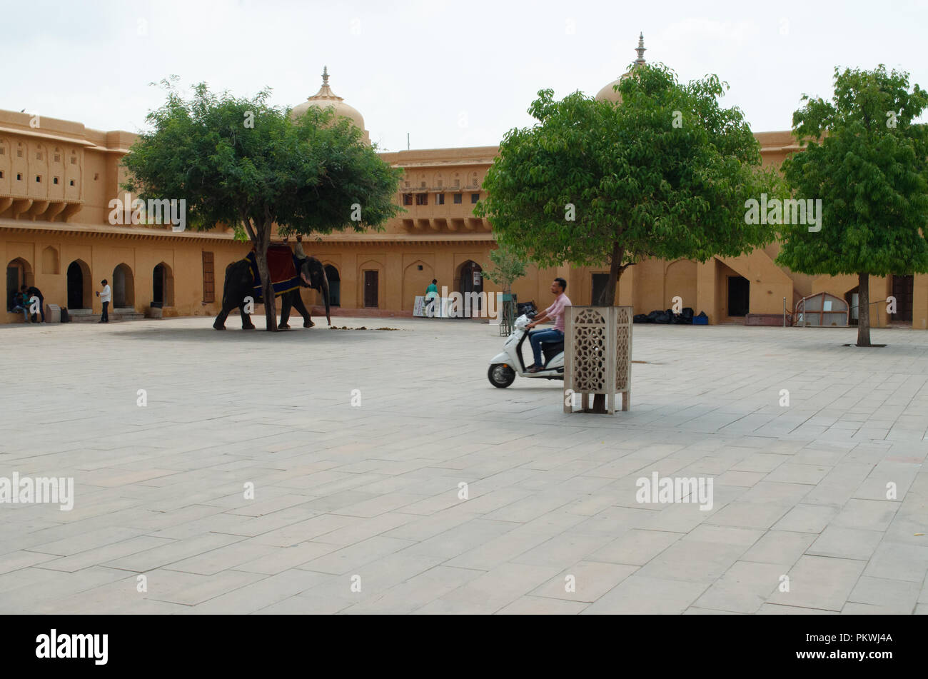 Jaipur, Rajasthan Foto Stock