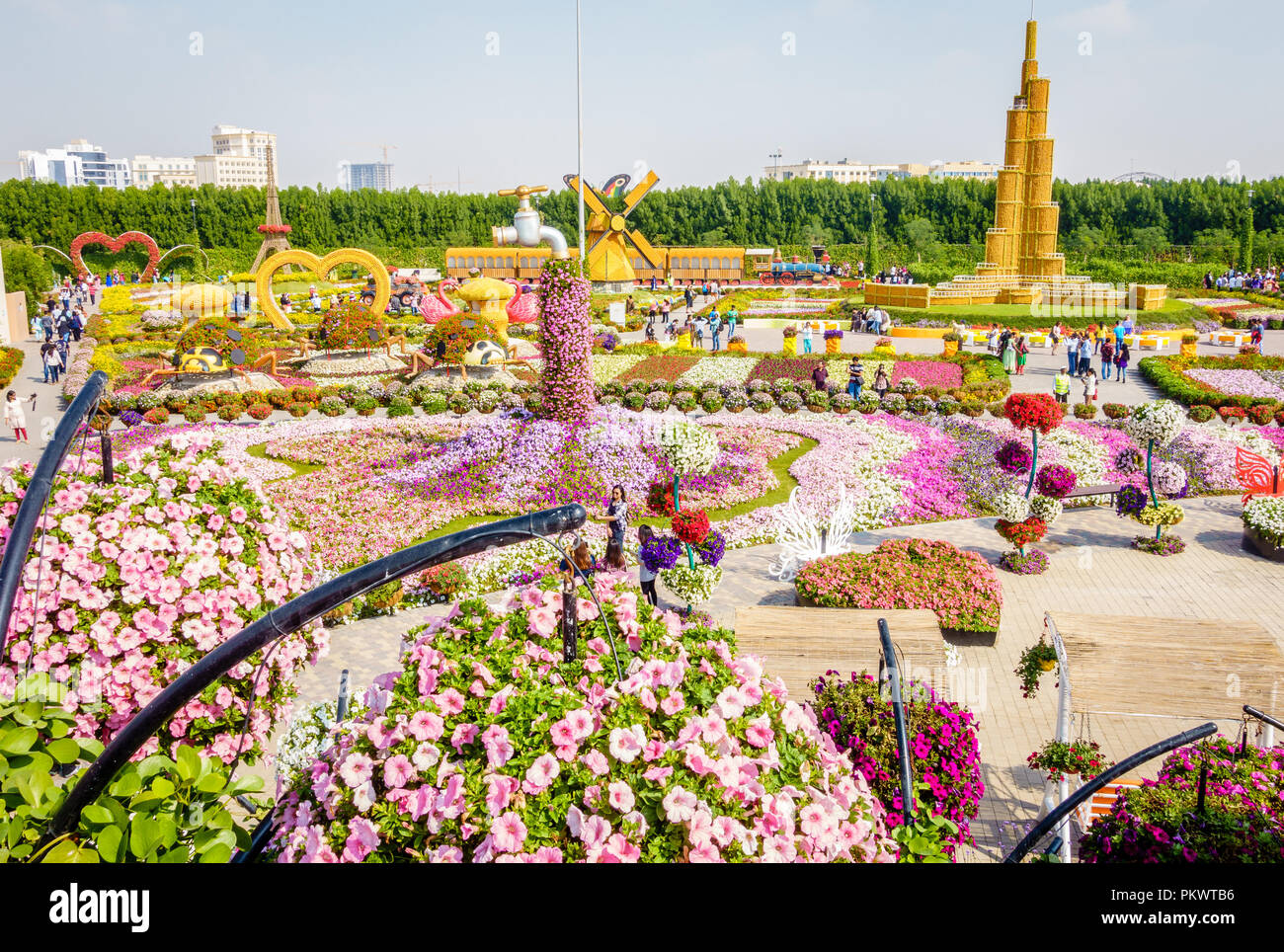Dubai, UAE, 22 Gennaio 2016: miracolo Garden è una delle principali attrazioni turistiche in Dubai EMIRATI ARABI UNITI Foto Stock