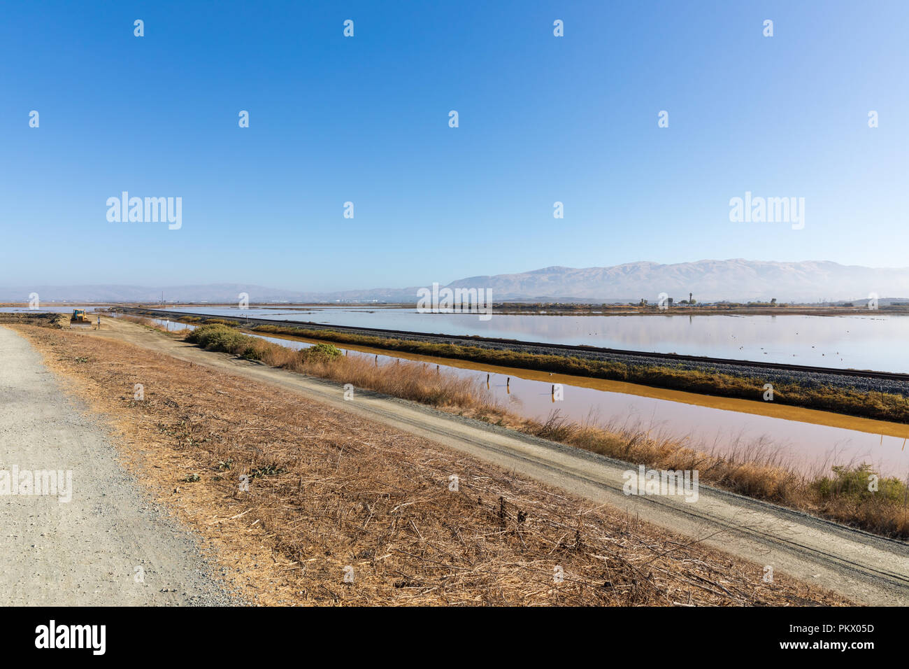 Alviso; vista dall'Alviso Marina Parcheggio contea verso il nuovo Chicago Marsh, CALIFORNIA, STATI UNITI D'AMERICA Foto Stock