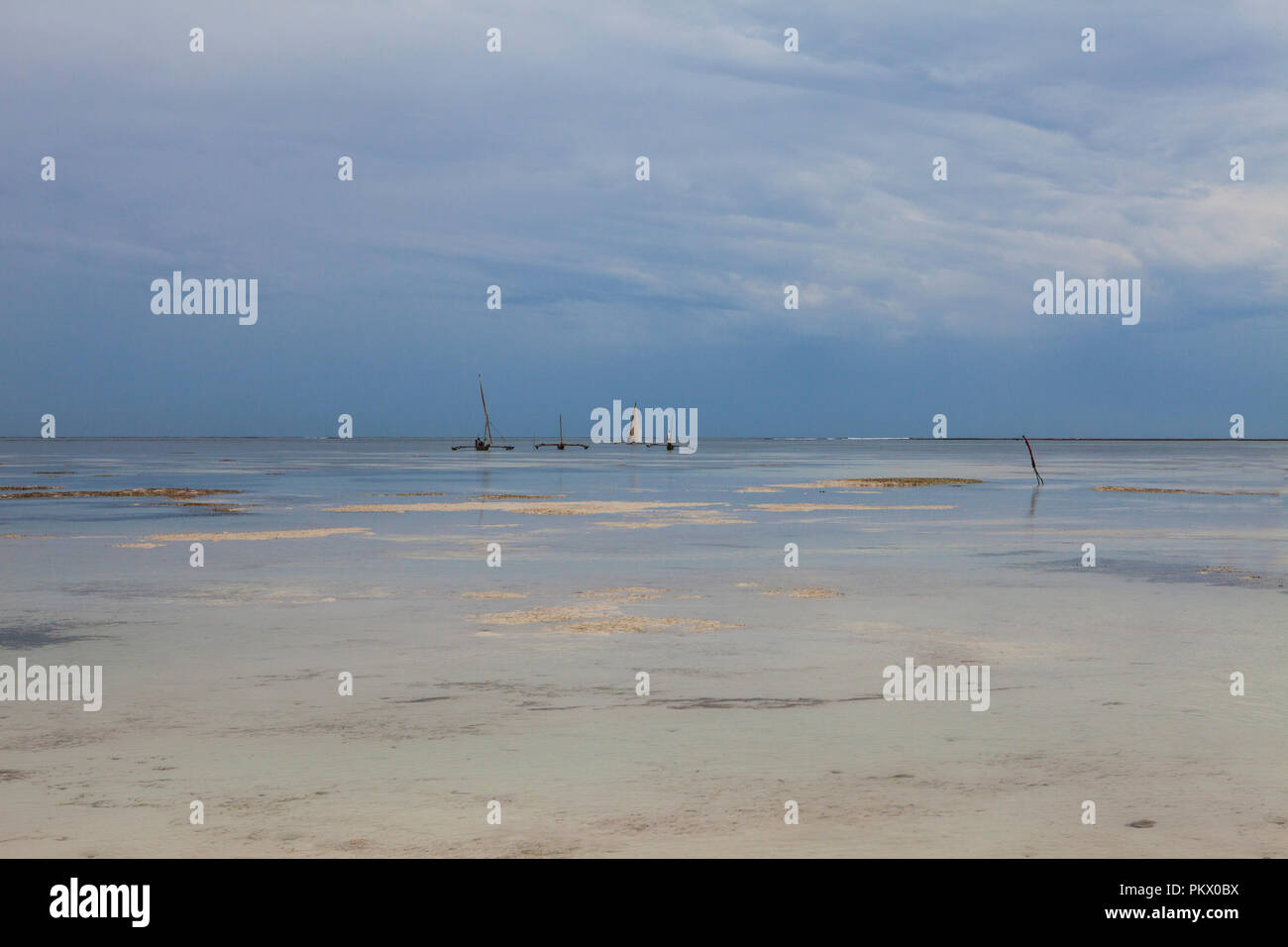 La bassa marea in un Galu Kinondo - spiaggia, Kenya Foto Stock