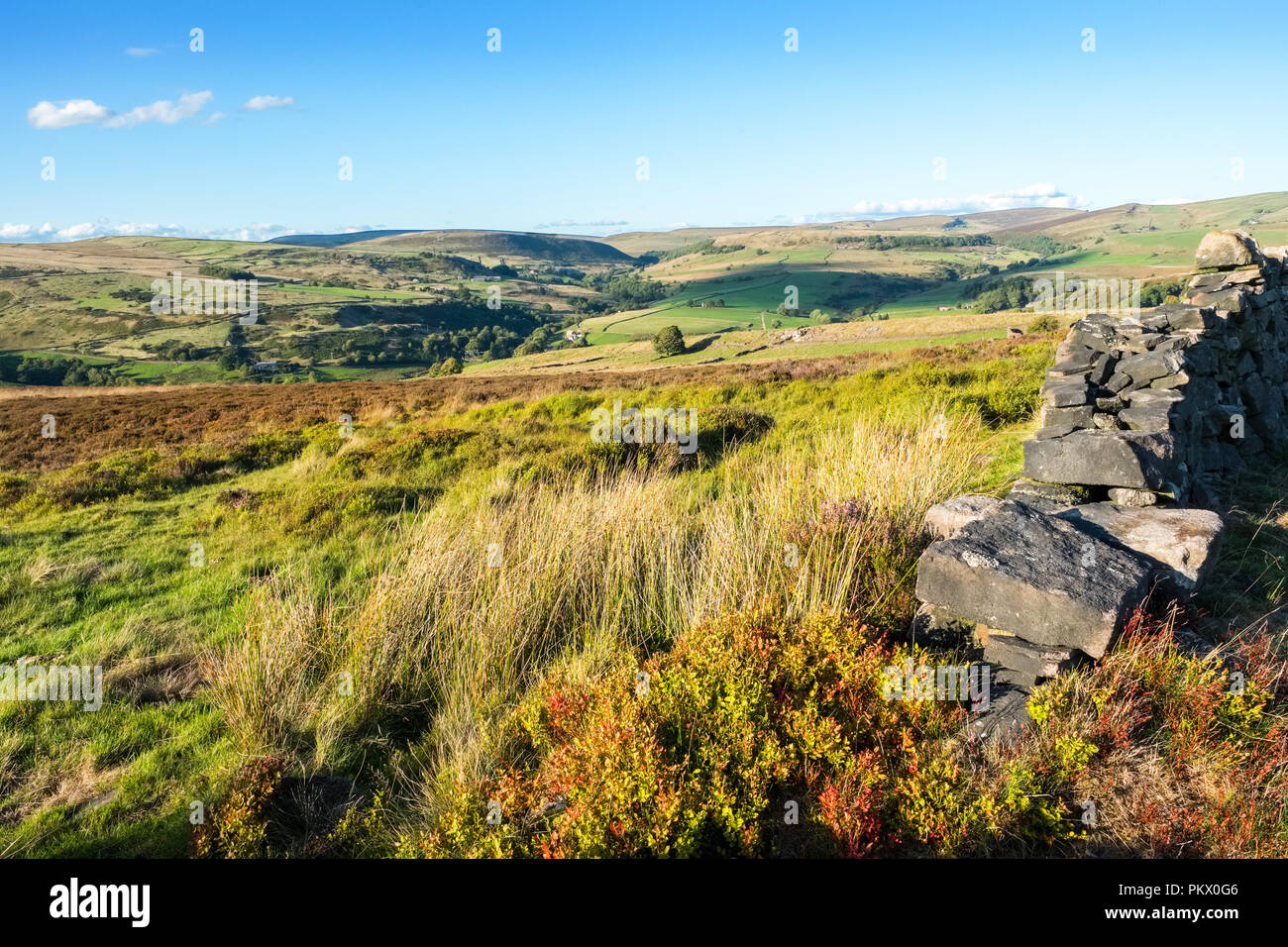 La brughiera e pascolo ruvida in Staffordshire Moorlands area del Parco Nazionale di Peak District vicino Gradbach e Flash Foto Stock