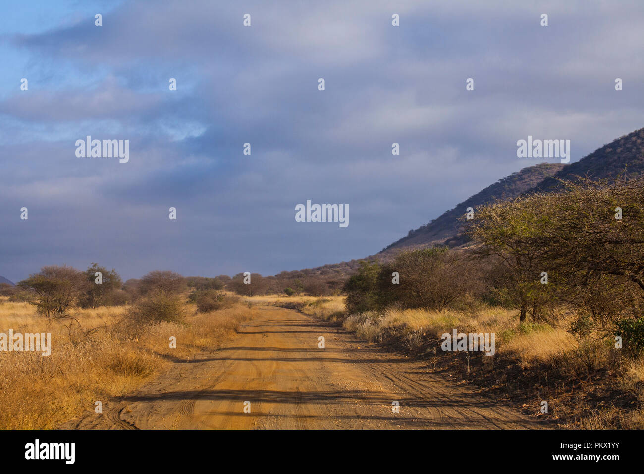 Tsavo West National Park in Kenya Foto Stock