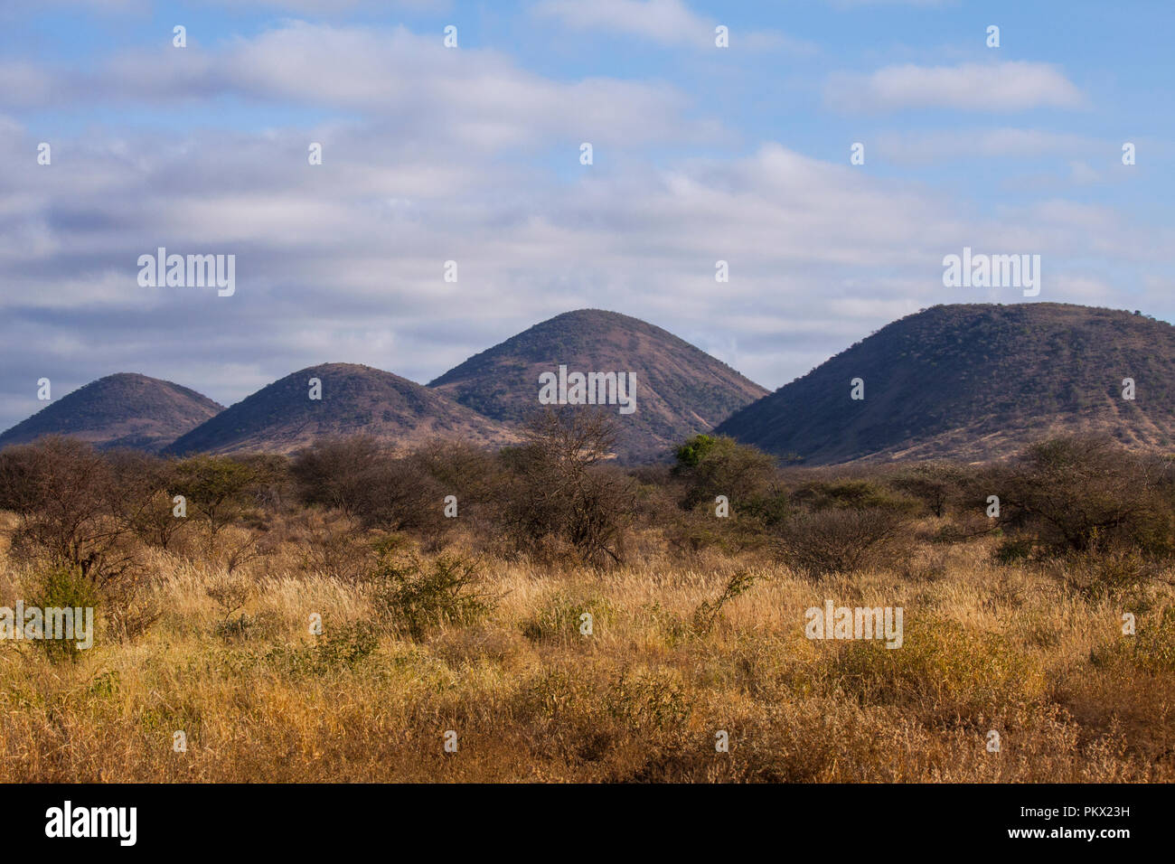 Sixs Tsavo sorelle - nome delle montagne di Tsavo National Park, Kenya Foto Stock