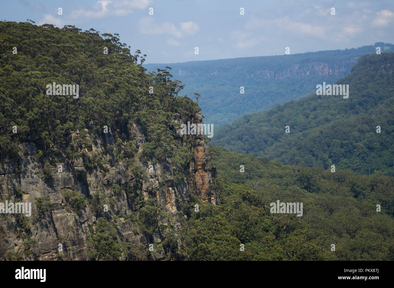 Altopiano Budderoo, Budderoo National Park, Southern Highlands, NSW, Australia Foto Stock