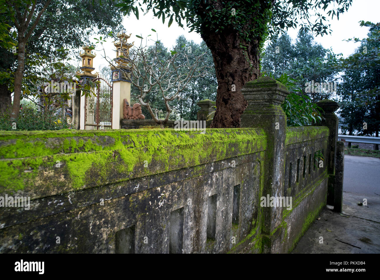 Il muschio verde sulla parete di un antico tempio nel centro di provincia di Quang Tri del Vietnam Foto Stock