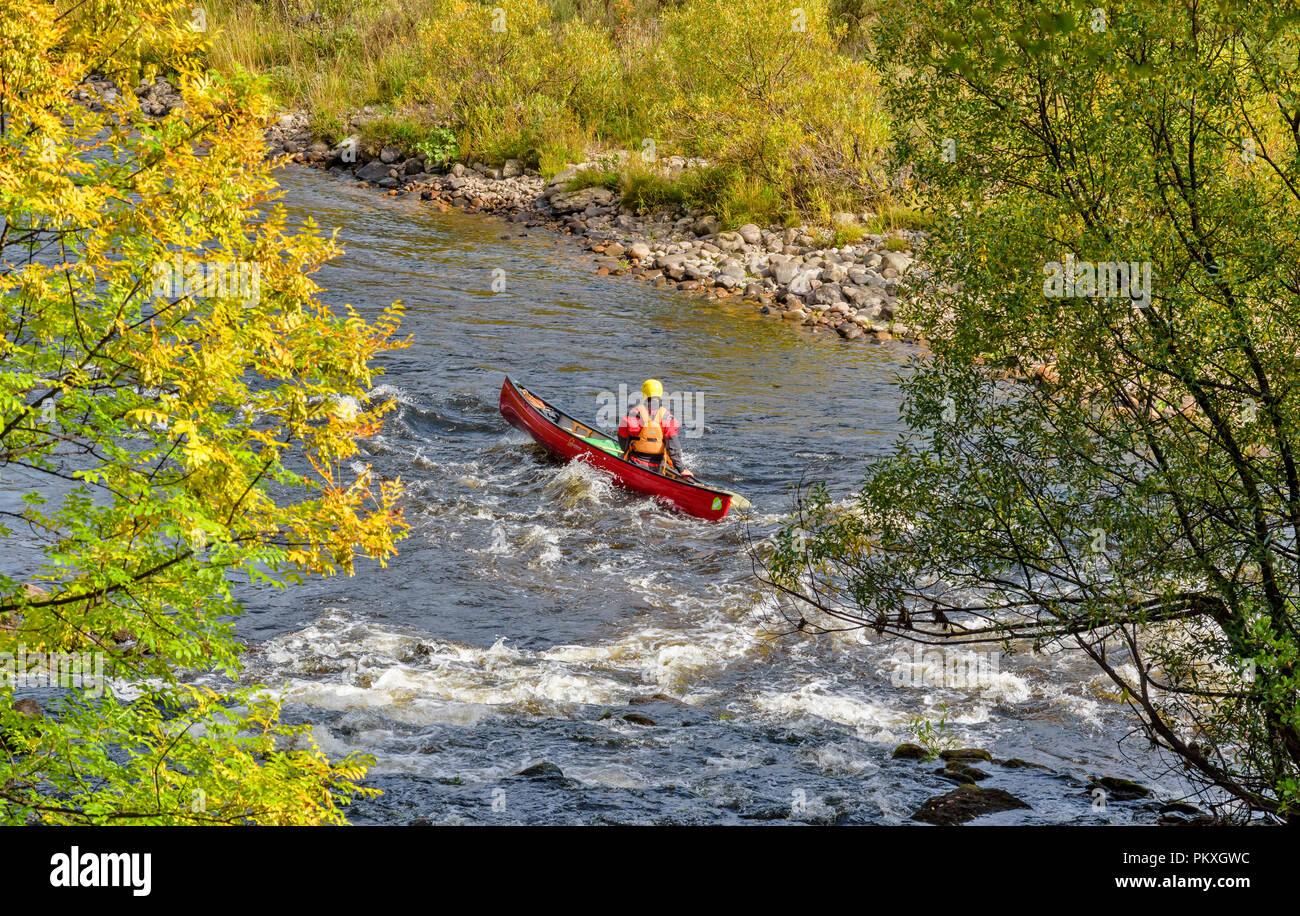 Fiume Spey Scozia alberi autunnali e canoe su un tratto di acque bianche Foto Stock