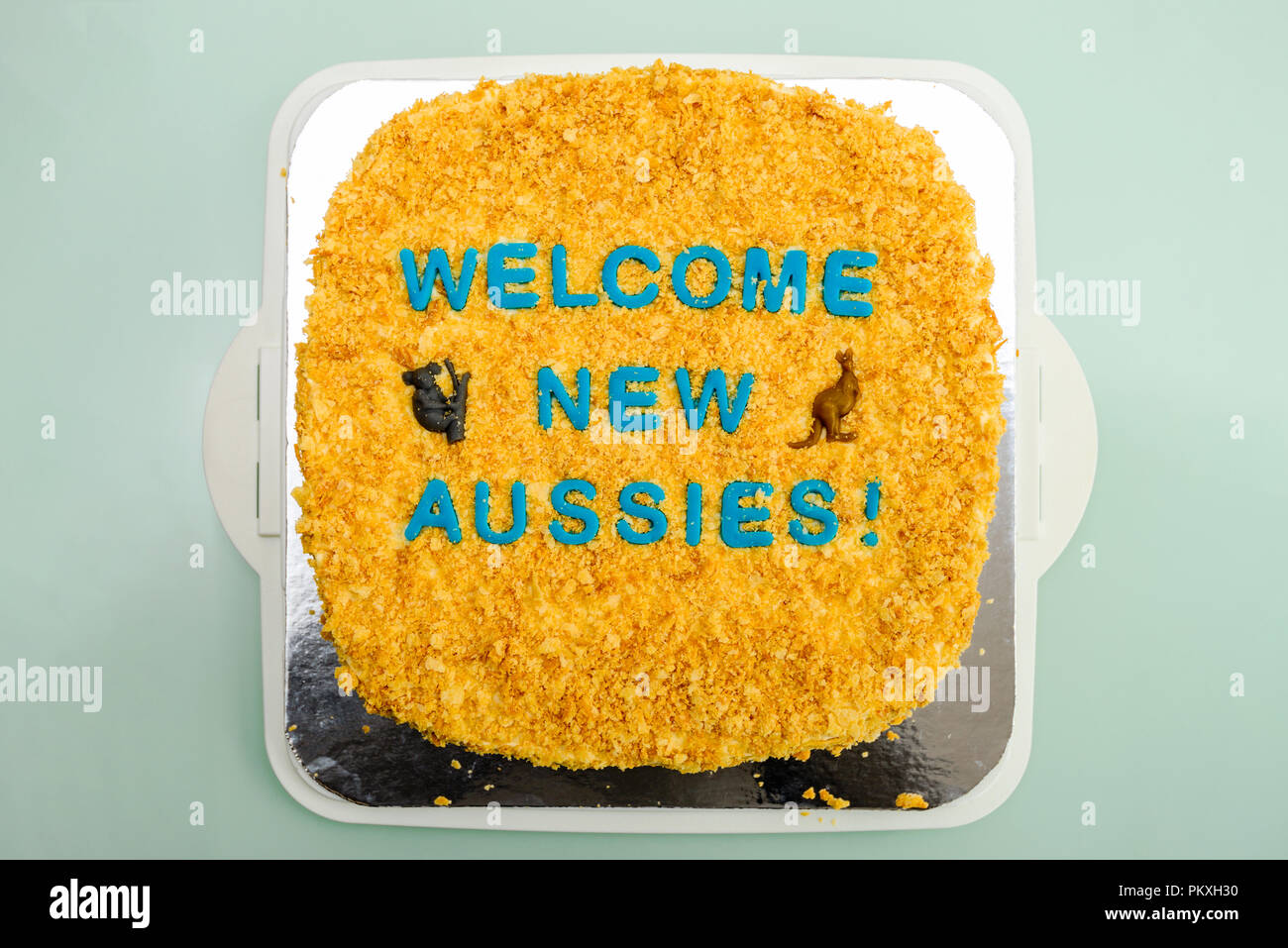 L'Australia Day tema home cotta torta decorata con il koala e canguri Foto Stock