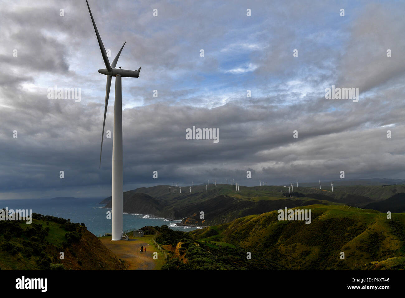 Wellington. Il 9 giugno, 2018. Foto scattata il 9 giugno 2018 mostra le turbine eoliche a Wellington, Nuova Zelanda. Wellington è stata nominata la Nuova Zelanda la migliore destinazione nelle ultime Lonely Planet guida, con la città con marchio "una delle più incredibili capitali del piccolo nel mondo". Credito: Guo Lei/Xinhua/Alamy Live News Foto Stock