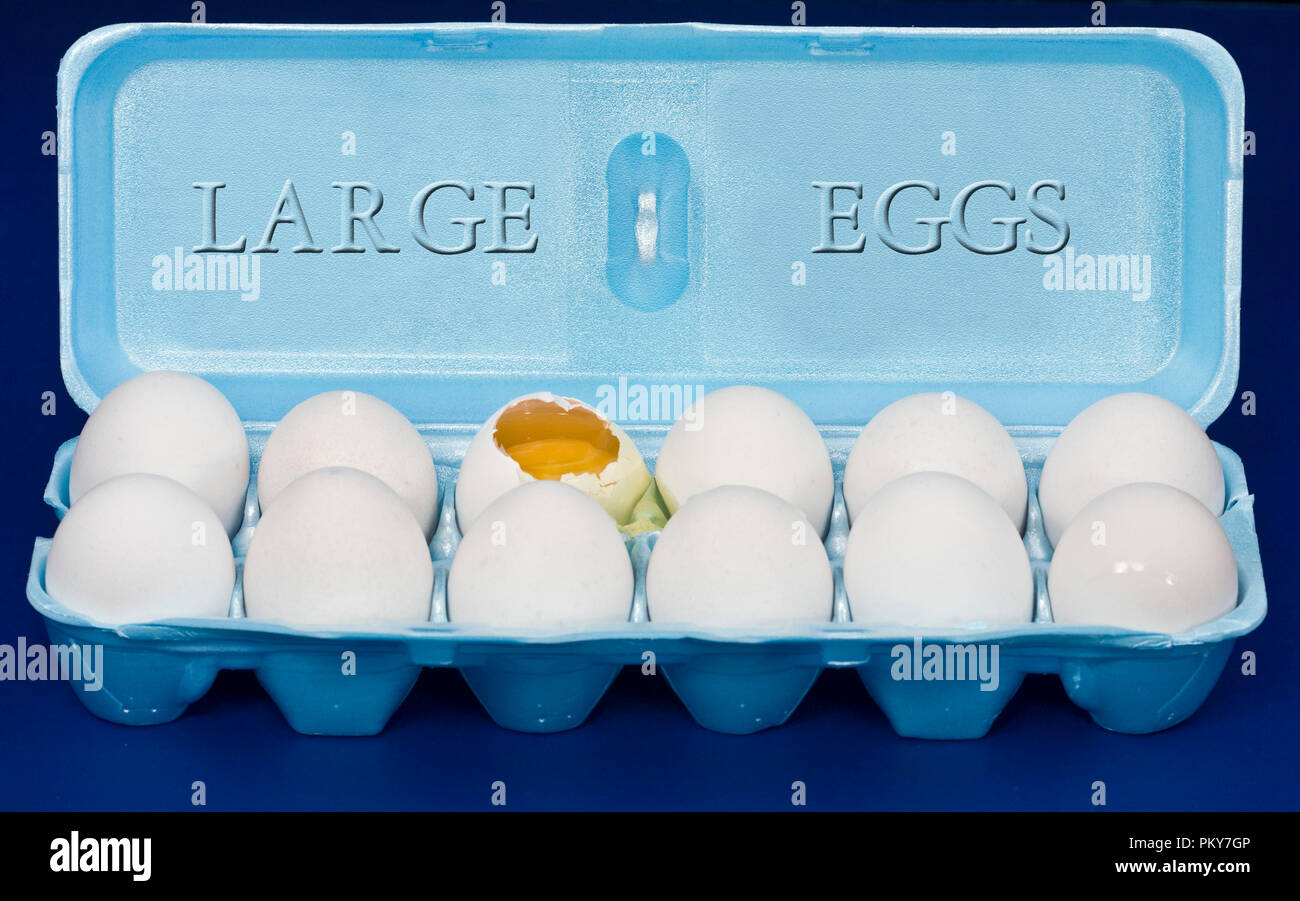 Uova in cartone con alcune rotte. Alcune immagini di uova la frittura su asfalto caldo, concetto. Foto Stock