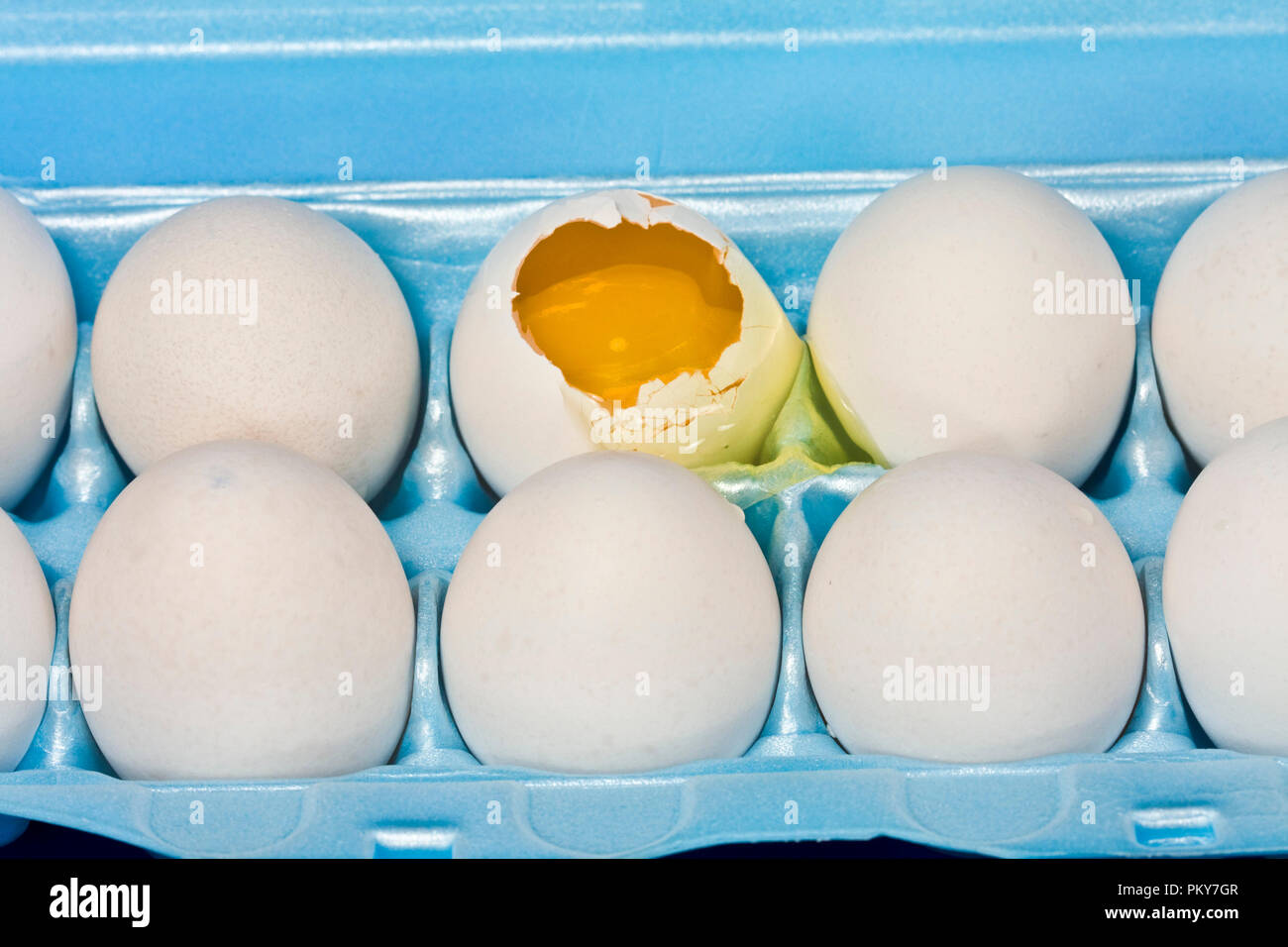 Uova in cartone con alcune rotte. Alcune immagini di uova la frittura su asfalto caldo, concetto. Foto Stock