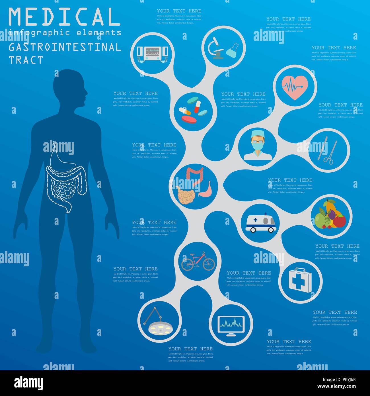 Settore medicale e della salute Una infografica, tratto gastrointestinale infographics. Illustrazione Vettoriale Illustrazione Vettoriale
