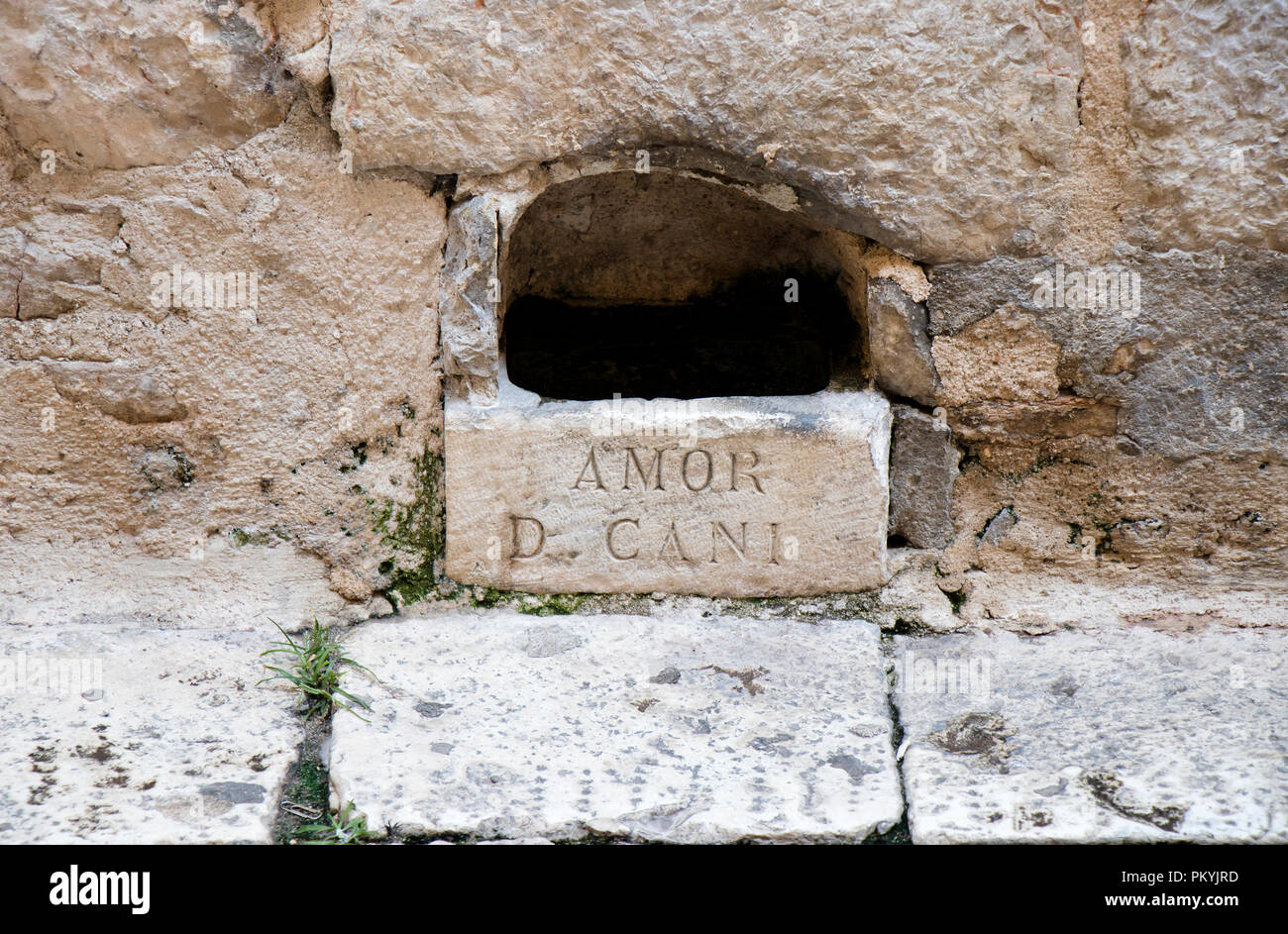 Foro di irrigazione , pietra ciotola fatta nella parete di facciata della casa nella città vecchia di Sebenico Main Street, con segno latino AMOR D CANI , era uomo-realizzato per fornire dri Foto Stock