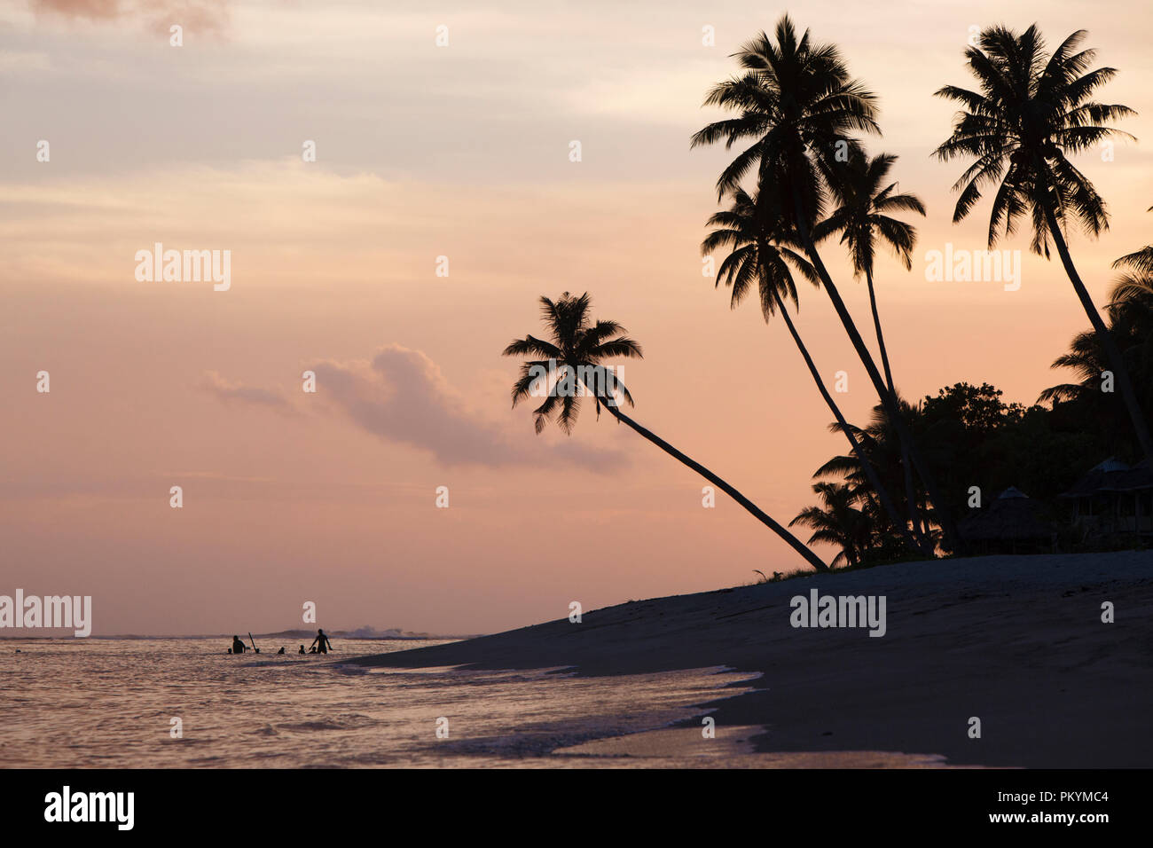 Silhouette al tramonto vicino Lepa Beach, Isola Upolu, Samoa. Foto Stock