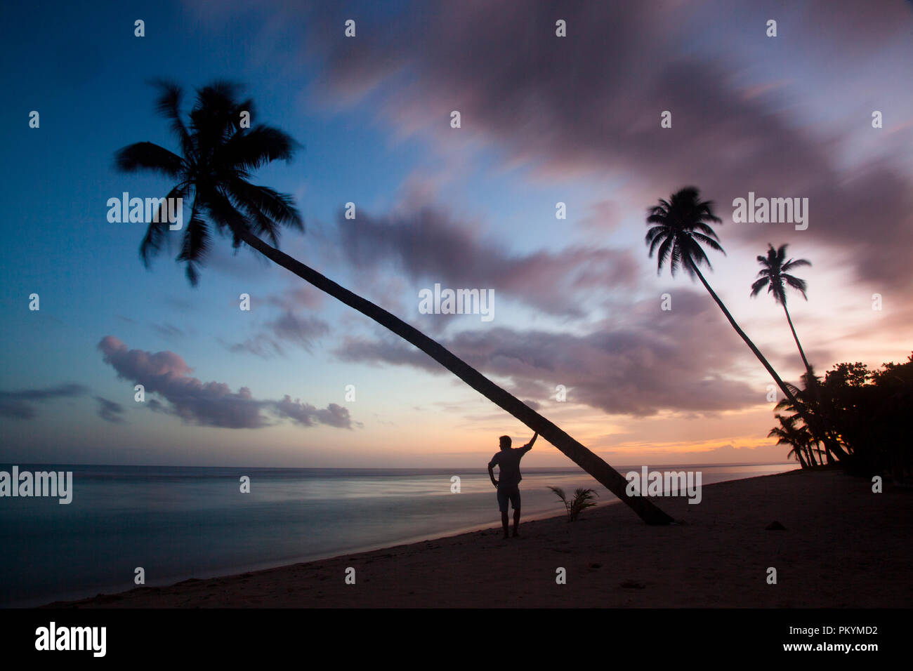 Silhouette al tramonto vicino Lepa Beach, Isola Upolu, Samoa. Foto Stock