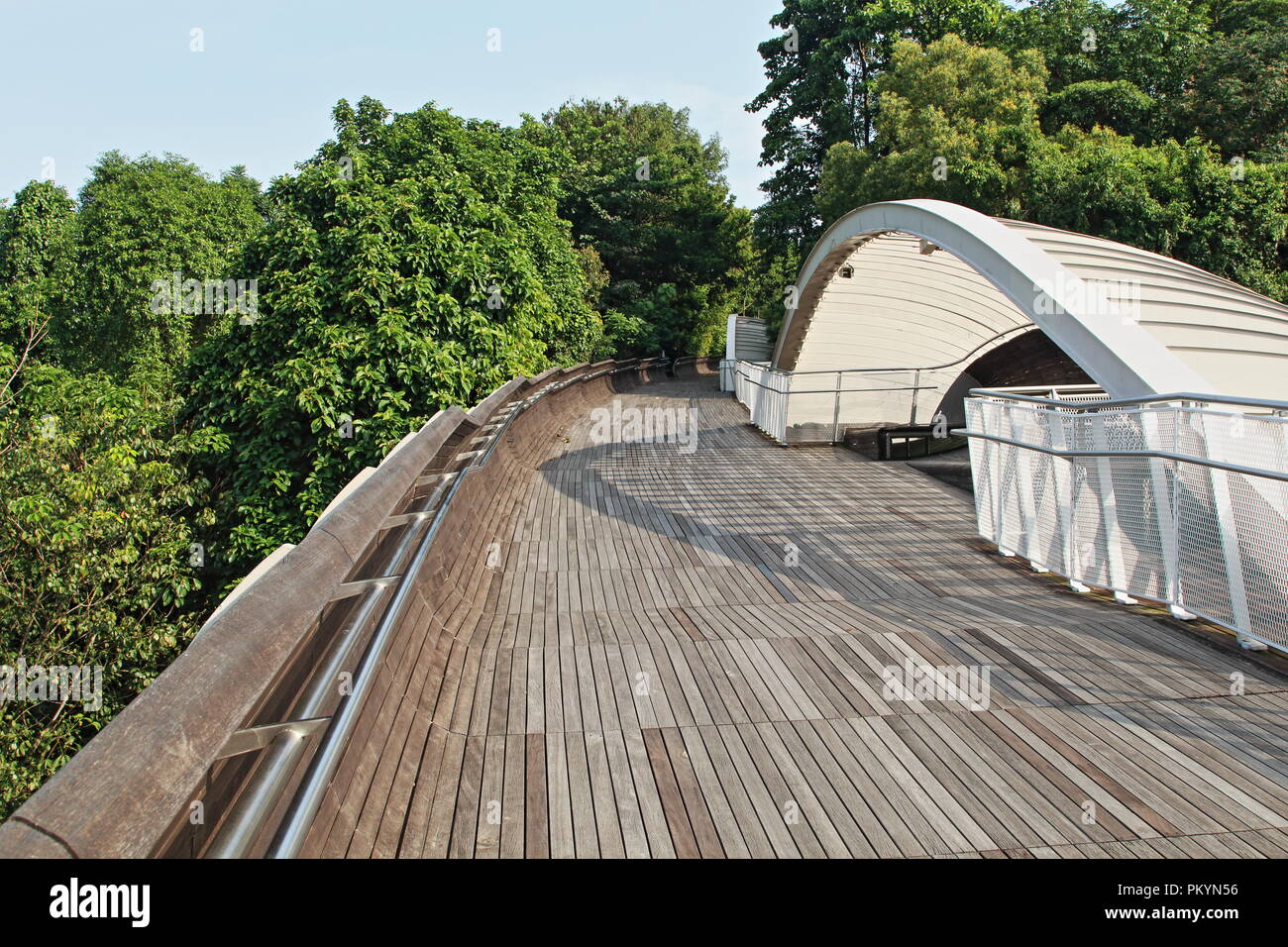 Henderson ponte onde, Singapore, Asia Foto Stock