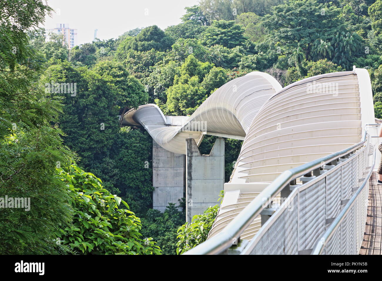 Henderson ponte onde, Singapore, Asia Foto Stock