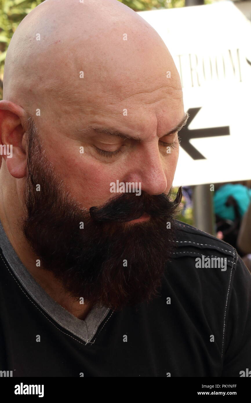 Bald uomo bianco con la barba e baffi del manubrio Foto stock - Alamy