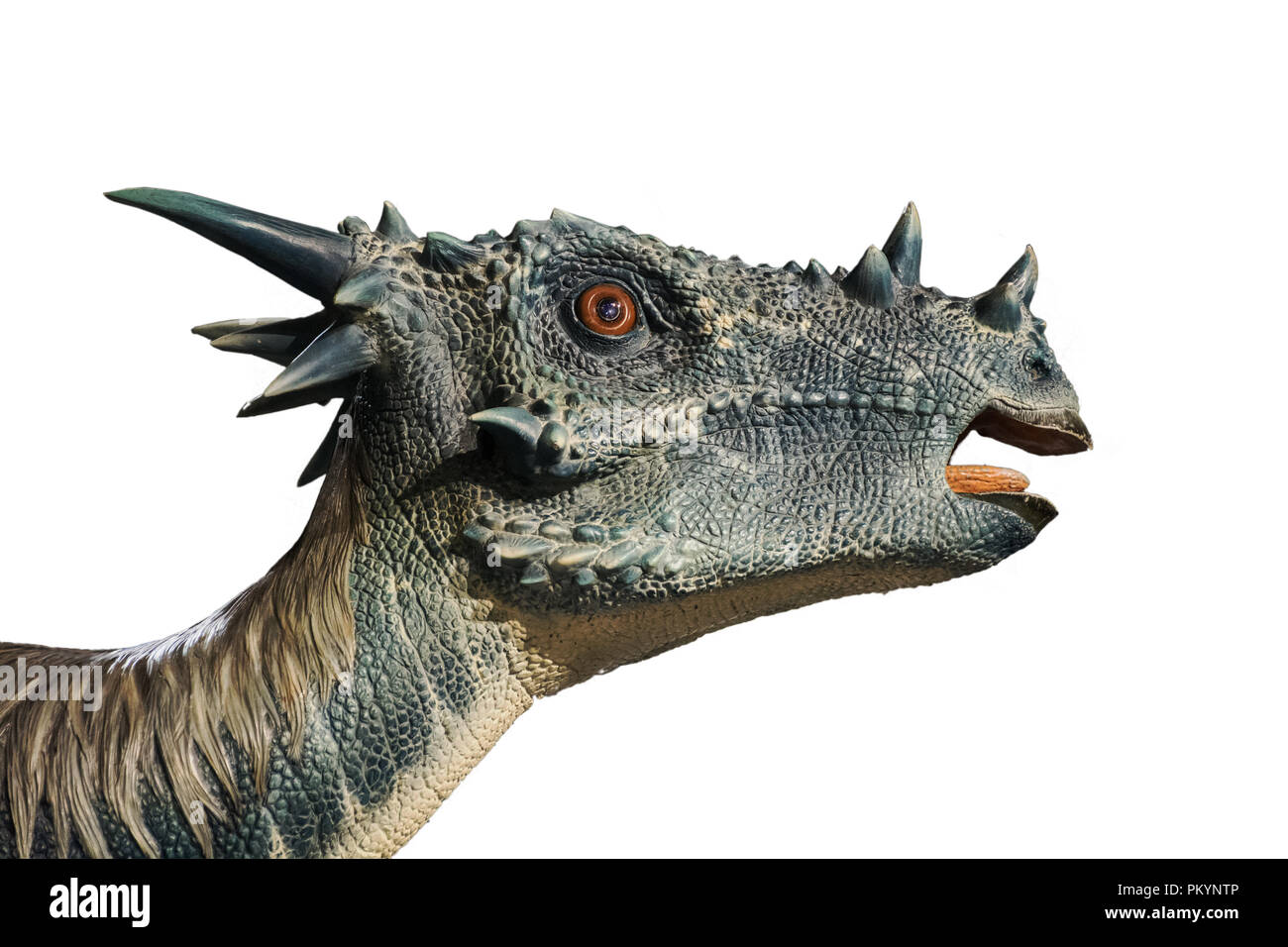 Stygimoloch isolati su sfondo bianco Foto Stock