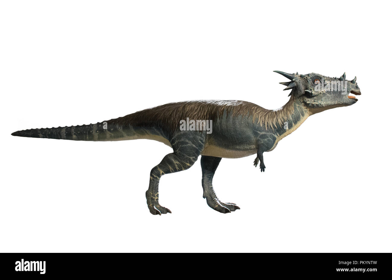 Stygimoloch isolati su sfondo bianco Foto Stock