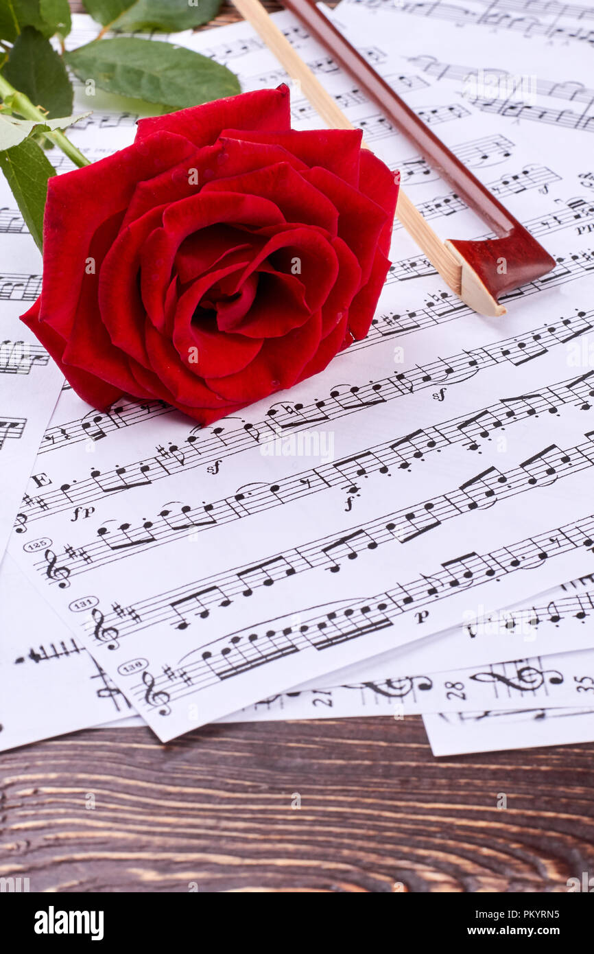 Violino di prua e rose su note musicali. Foto Stock