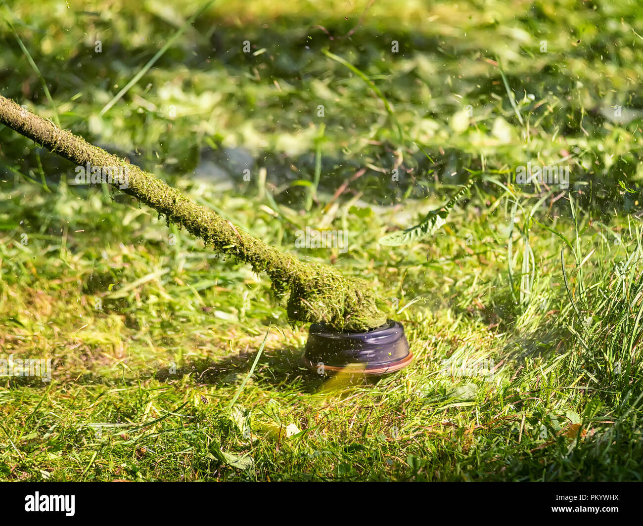 Erba-cutter a lavorare più da vicino. Brushcutter lame con battenti erba intorno ad esso Foto Stock