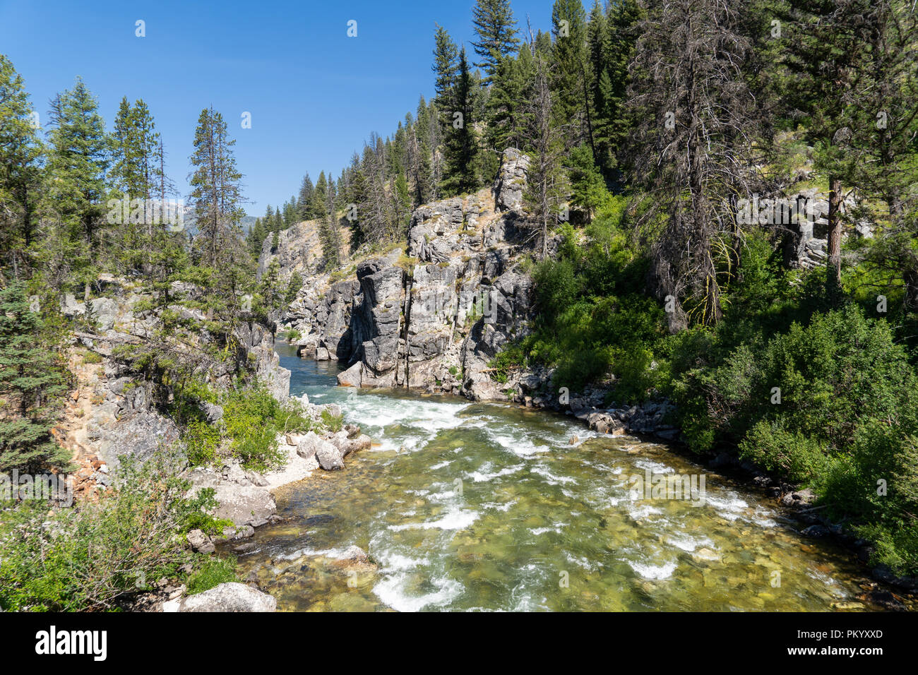 Vista la forcella centrale del fiume di salmoni in Idaho Frank Church deserto. Popolari per il rafting in estate Foto Stock