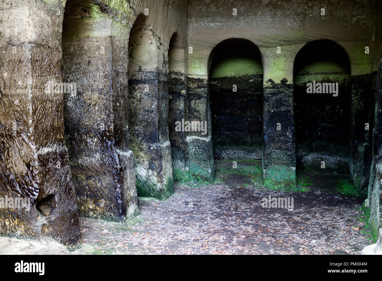 Spazio di archiviazione scolpito nella roccia a ragazzo Cliffe House, Warwick, Warwickshire, Inghilterra, Regno Unito Foto Stock