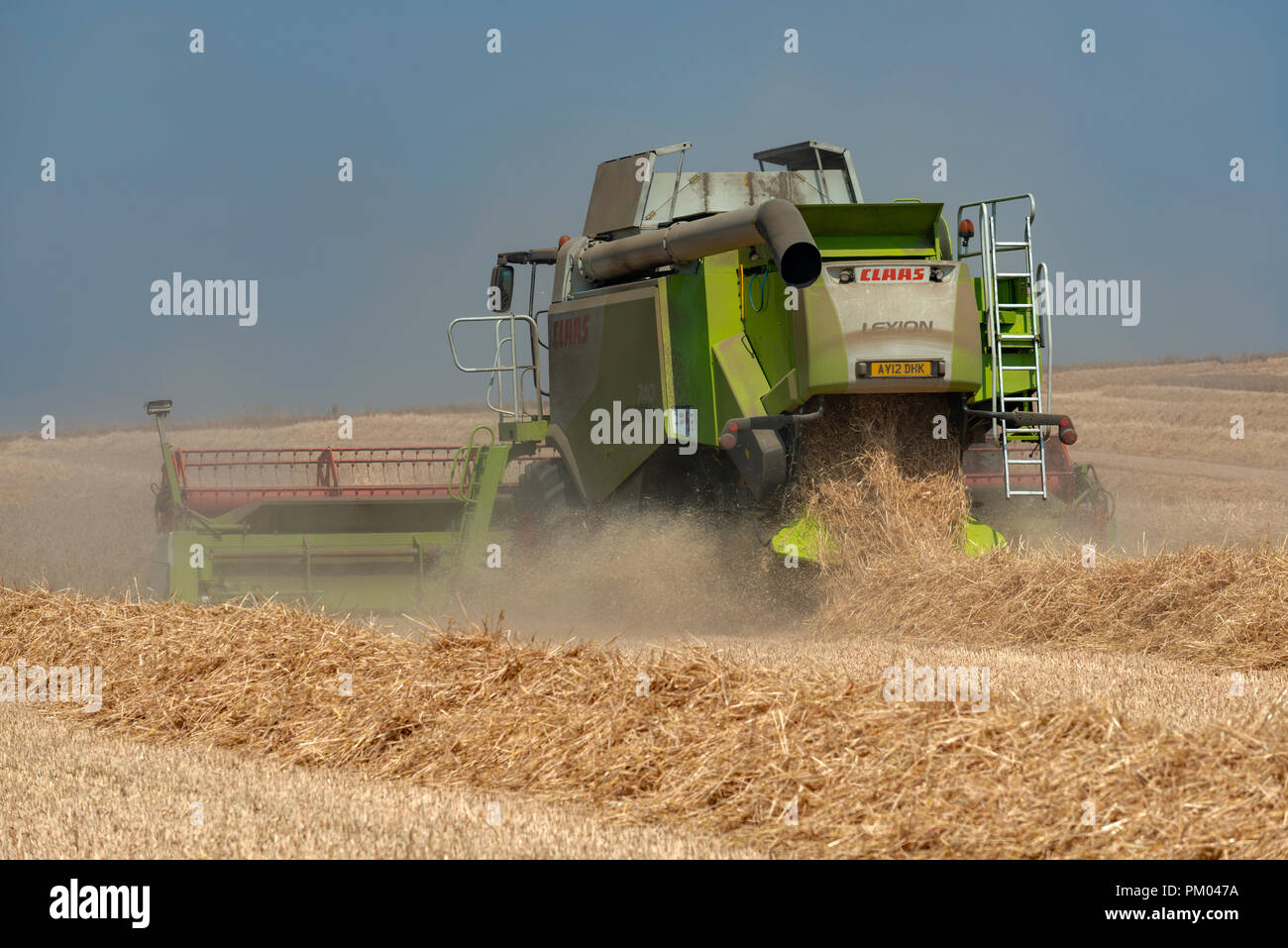 Claas Lexion 740 Mietitrebbia, Bawdsey, Suffolk, Inghilterra. Foto Stock