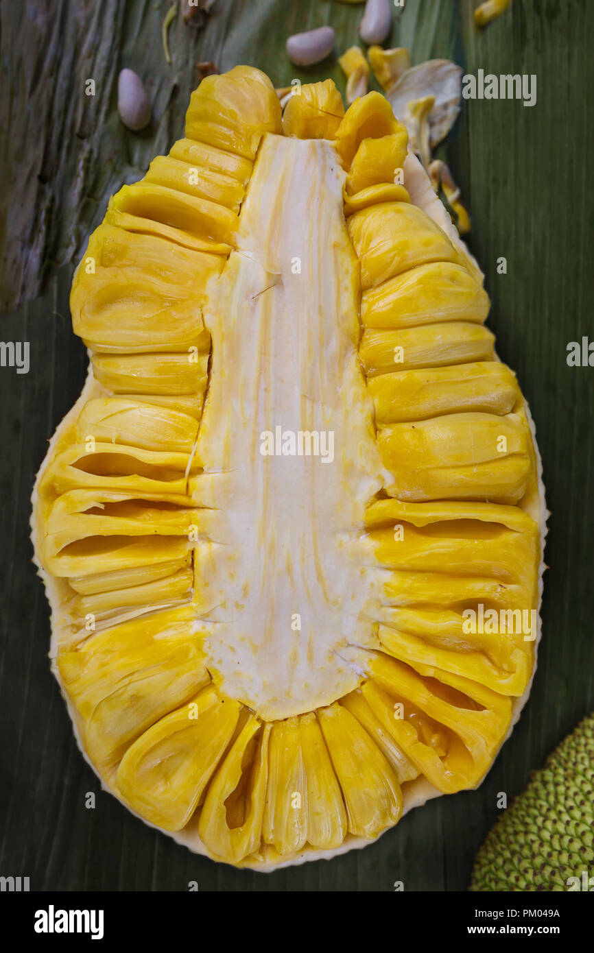 Jackfruit tagliate a metà, a fette, semi, giallo juicily, sul mercato del carbonio Cebu Filippine Foto Stock