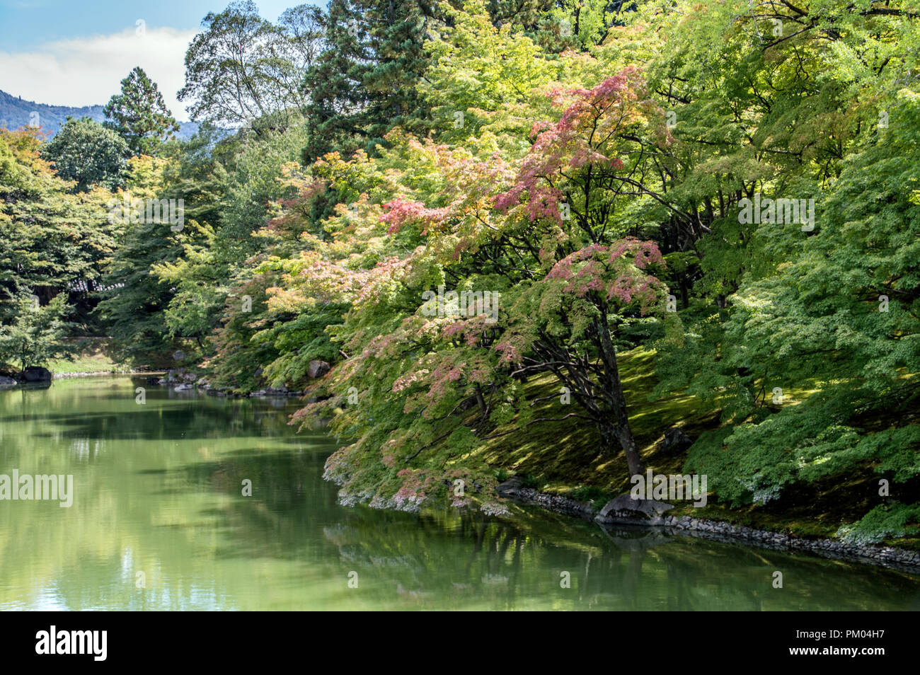 Dettaglio del Kyoto Oomiya Imperial Palace Garden a Kyoto in Giappone 2015 Foto Stock