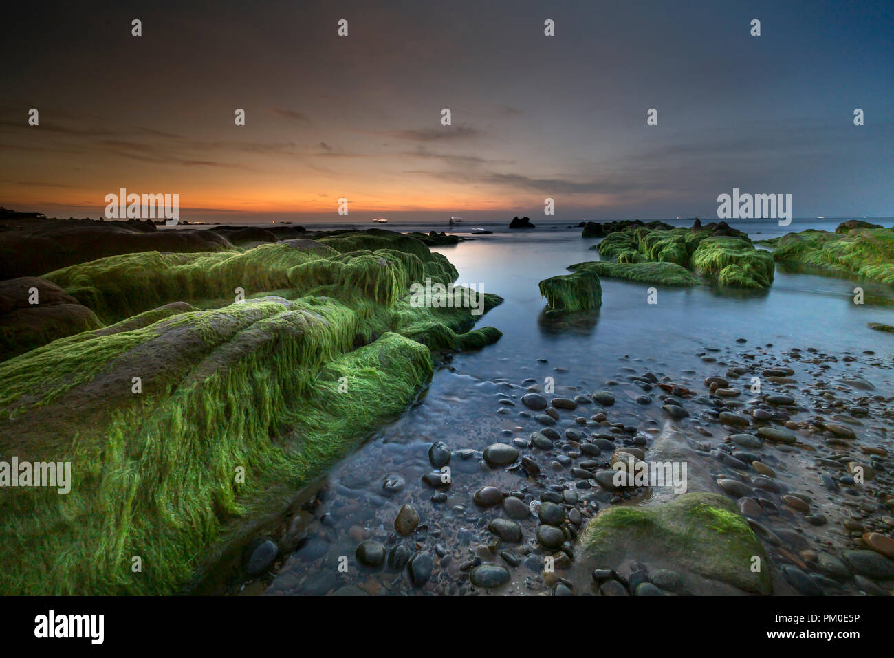 Le pietre in Co Thach costa erano completamente coperte di muschio e alghe. Foto Stock