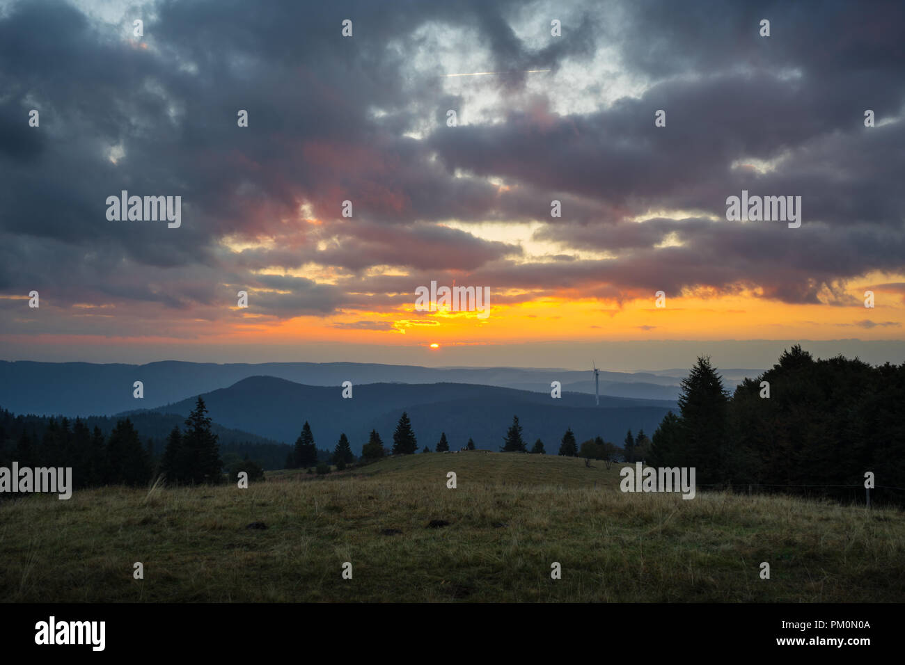 Germania, foresta nera sunrise Foto Stock