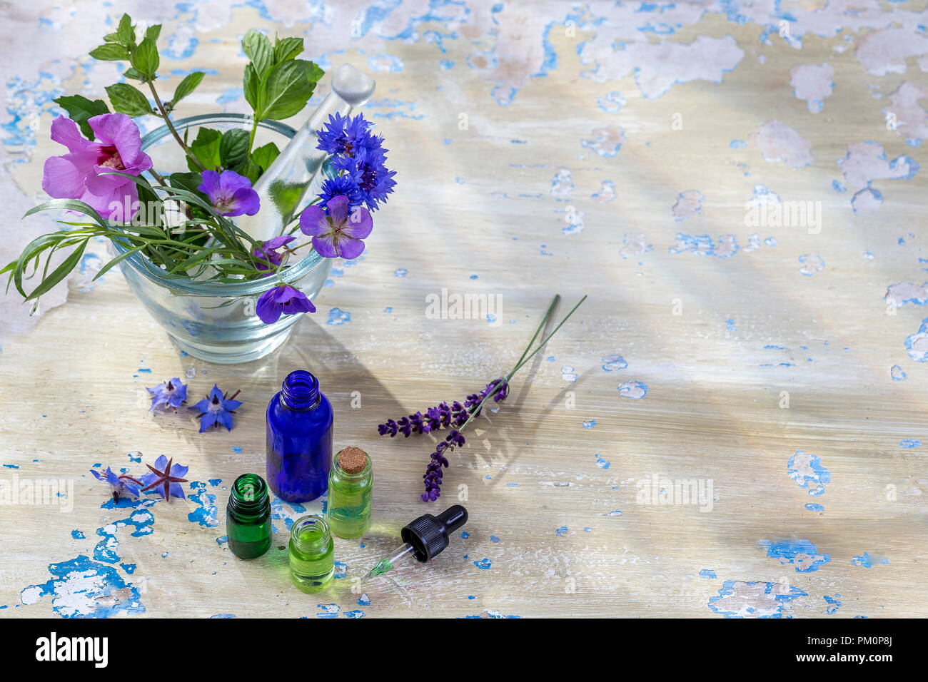 La terapia a base di erbe. oli essenziali e medico di fiori e di erbe sul vecchio blu incrinato Sfondo legno spazio copia Foto Stock