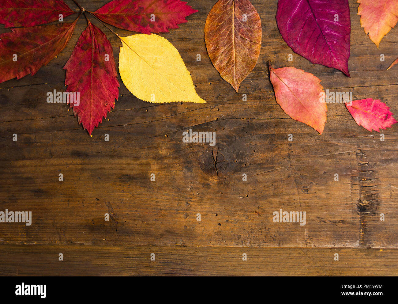 Foglie di autunno sfondo naturale su tavola di legno con spazio di copia Foto Stock