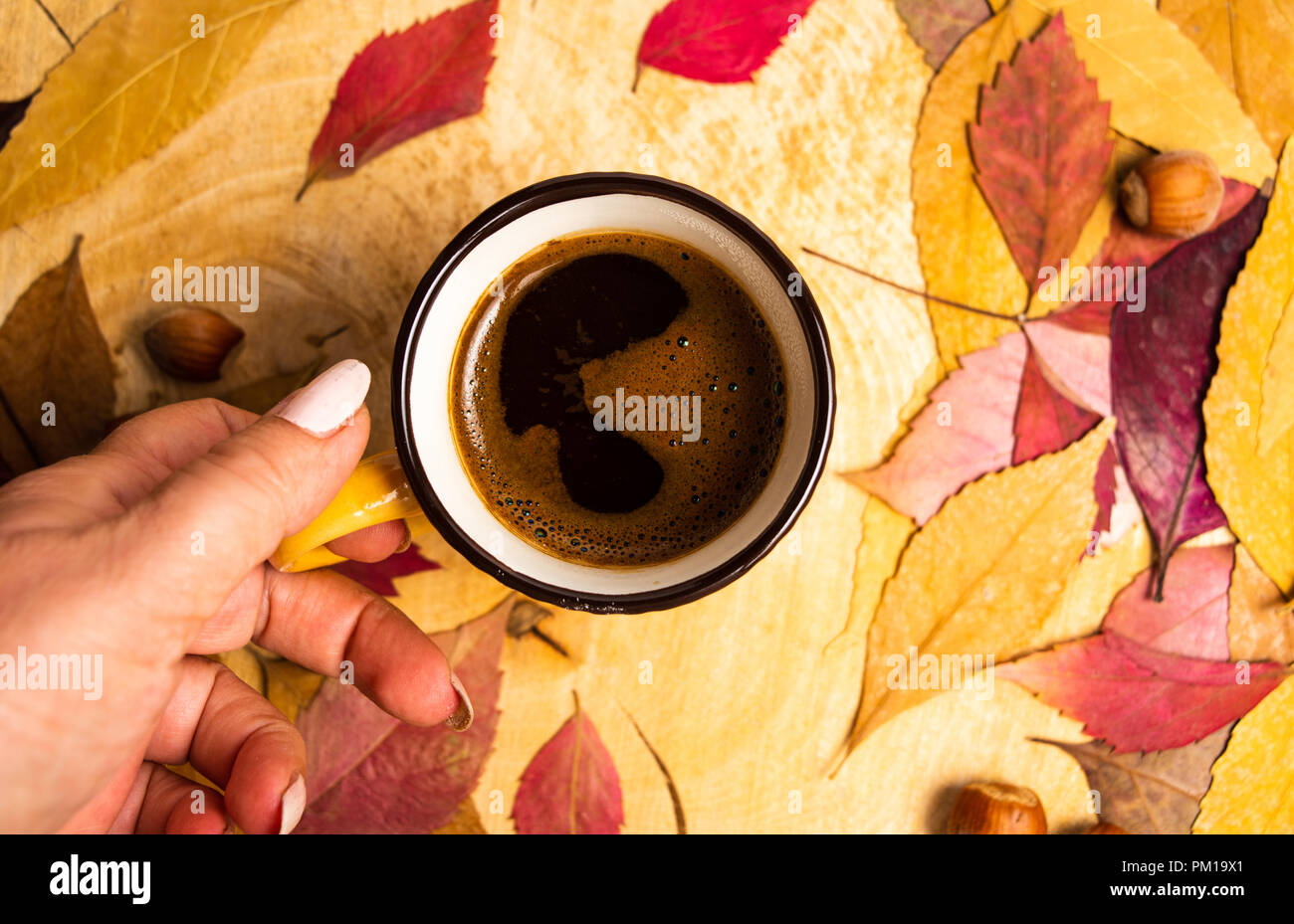 Tazza di caffè e caduto foglie di autunno Foto Stock