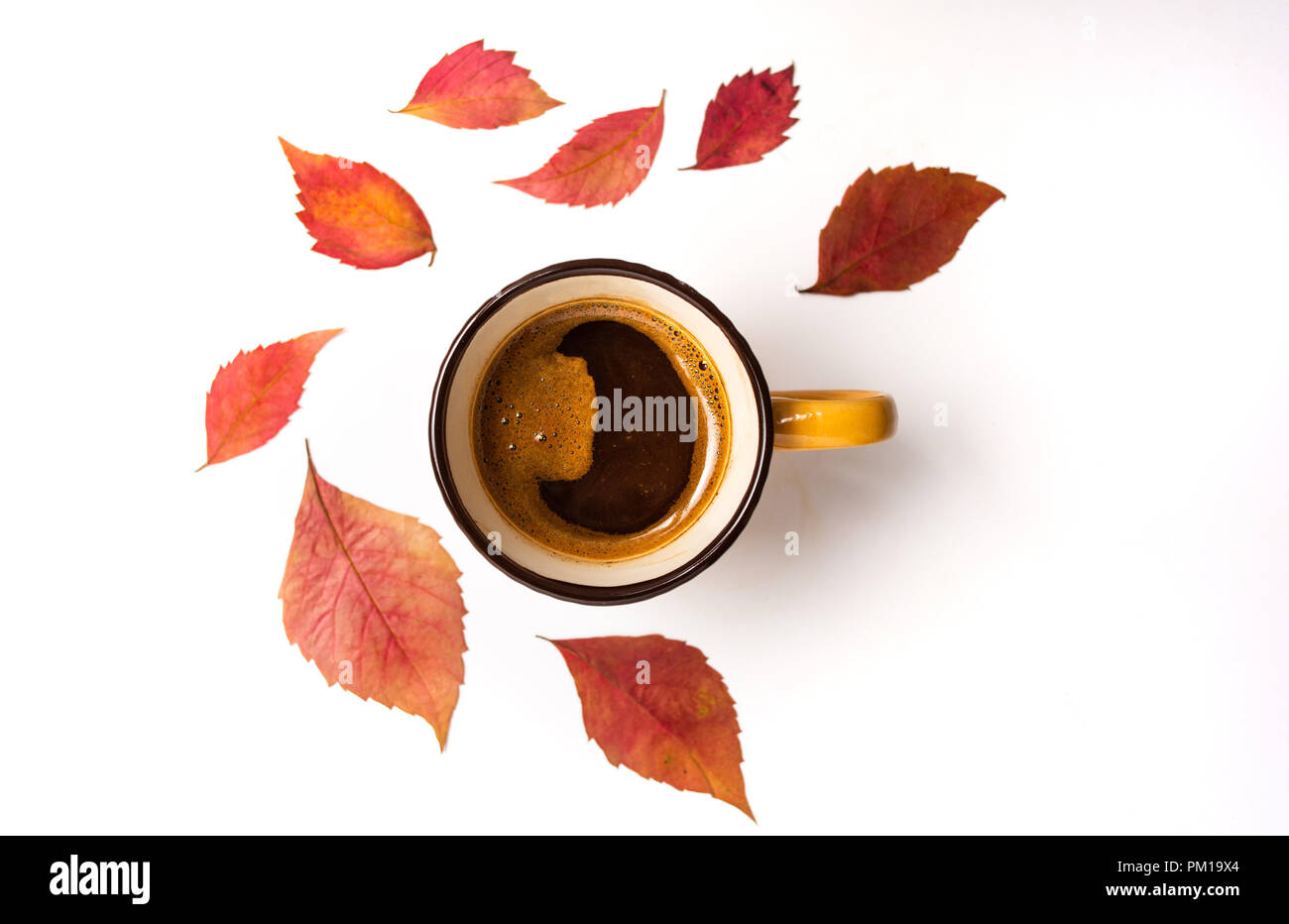 Tazza di caffè e caduto foglie di autunno Foto Stock