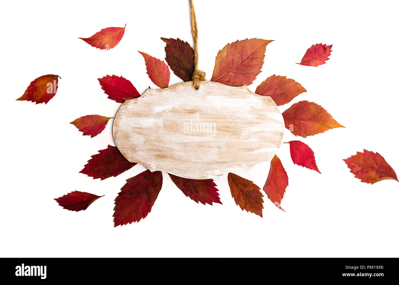 Scheda vuota e caduto foglie di autunno, cadono sullo sfondo Foto Stock