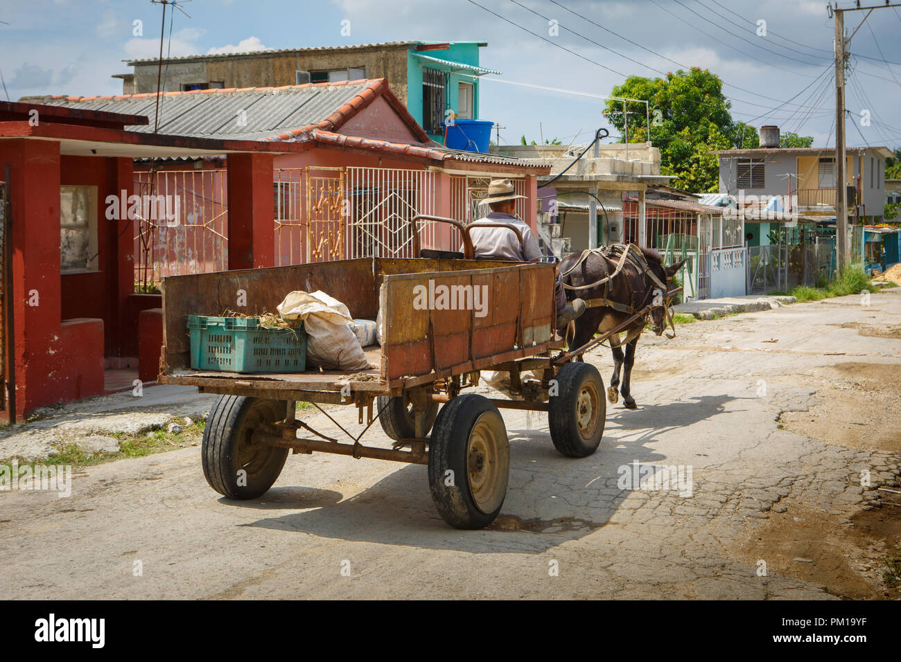 Uomo alla guida di cavallo e buggy in una provincia vicino a L'Avana Cuba Foto Stock