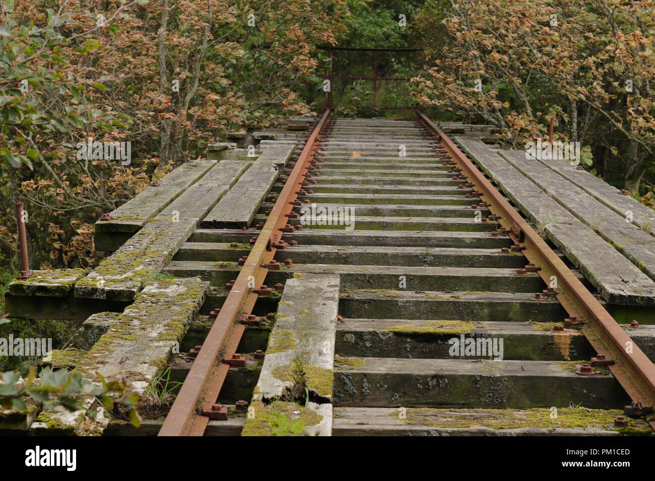 Il vecchio ponte ferroviario Foto Stock