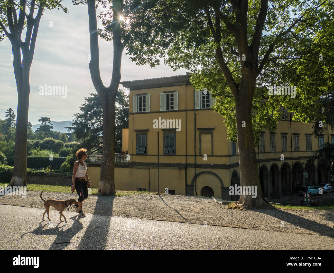 Signora a piedi un cane nella città murata di Lucca, Toscana, Italia Foto Stock