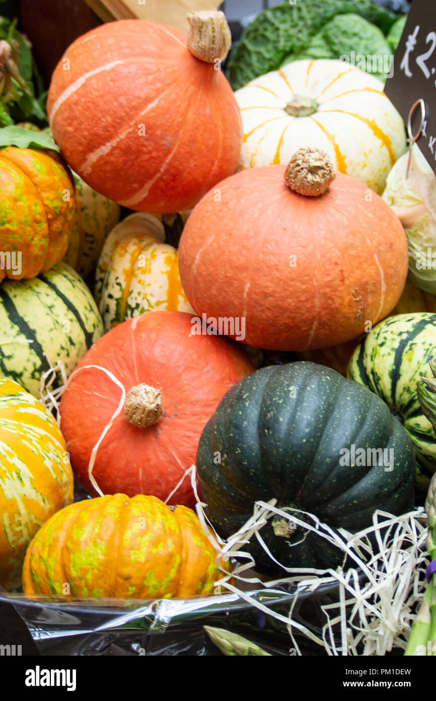 Display a colori dell'autunno zucche & zucche in vendita nel mercato di Borough, Southwark, Londra UK Foto Stock