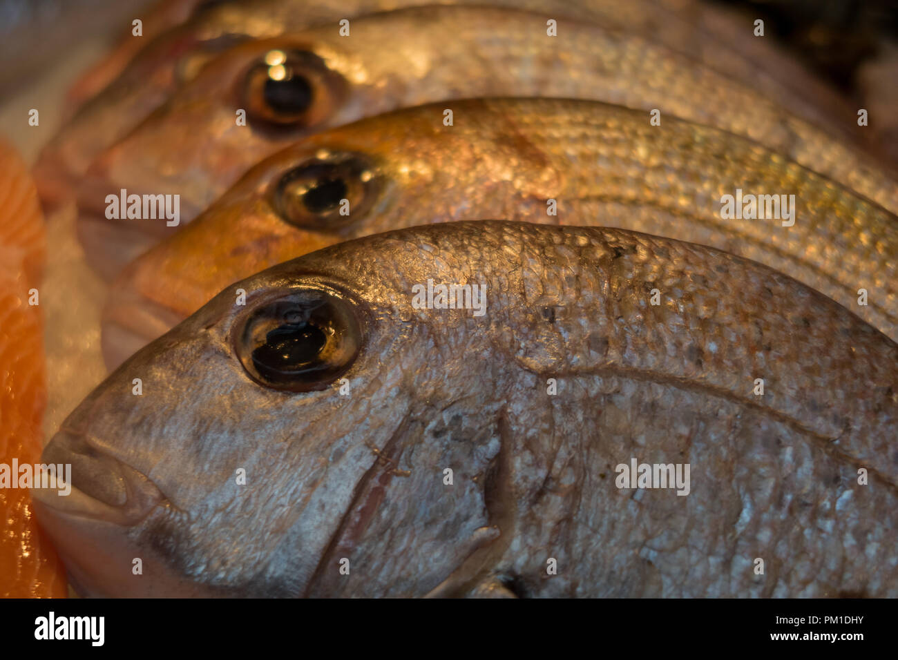 Il pesce in vendita su un Pesce Mogners in London Borough Market, REGNO UNITO Foto Stock
