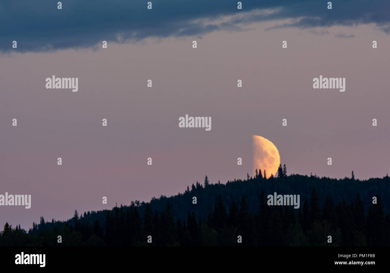 Half moon impostazione sul buio cresta boscosa in rosa crepuscolo dell Alaska a solice. Foto Stock