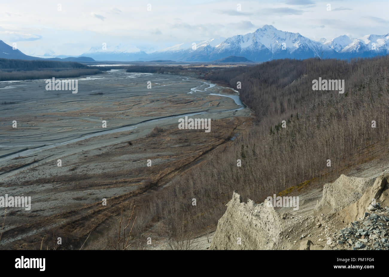 La Matanuska canali del fiume nei pressi di Palmer Alaska braid lungo un angolo forestale attraverso un fiume di ghiaia letti con un pioniere nevoso picco nella distanza Foto Stock