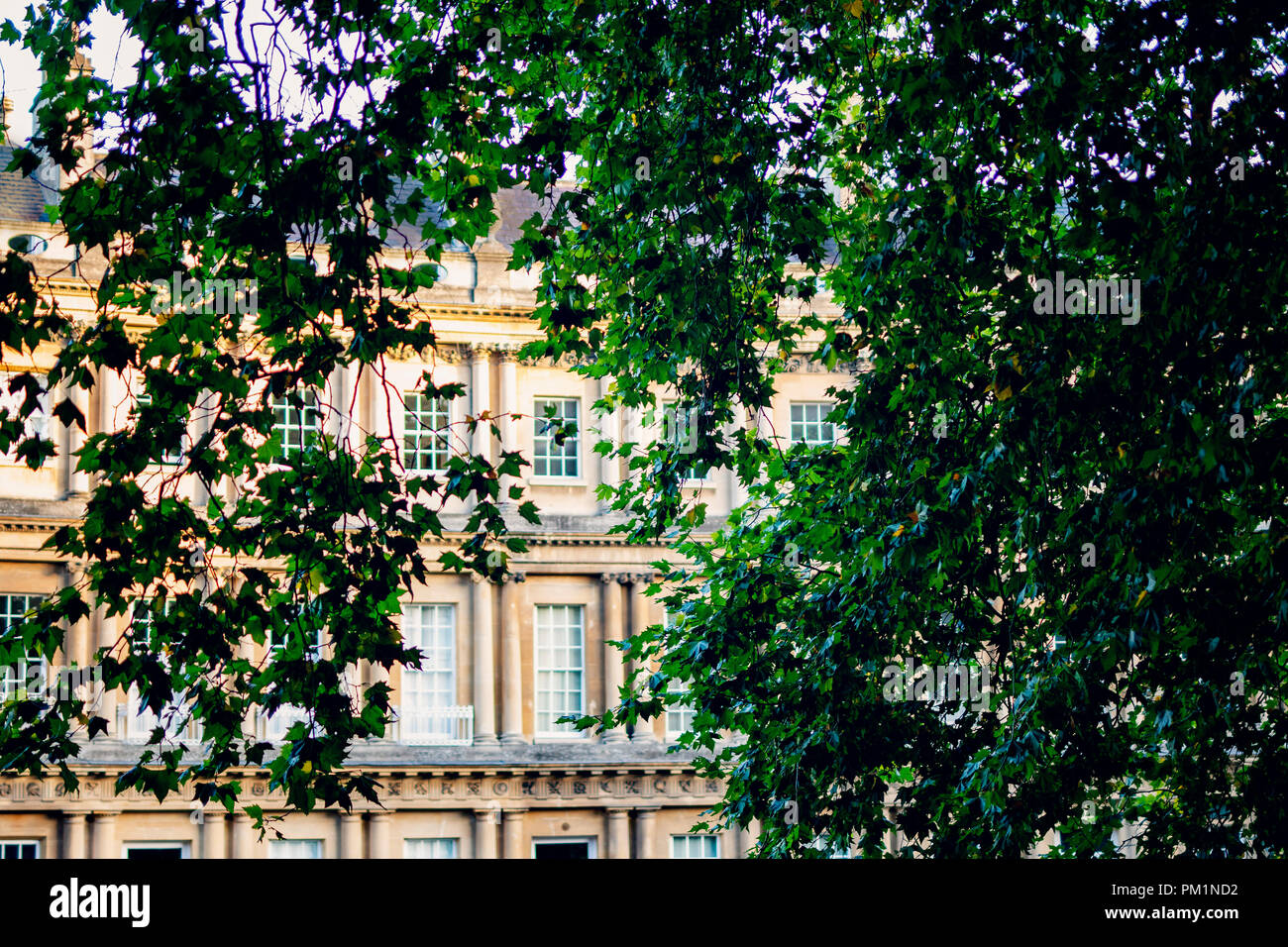 La Cirus, il famoso mews nel centro di Bath Foto Stock