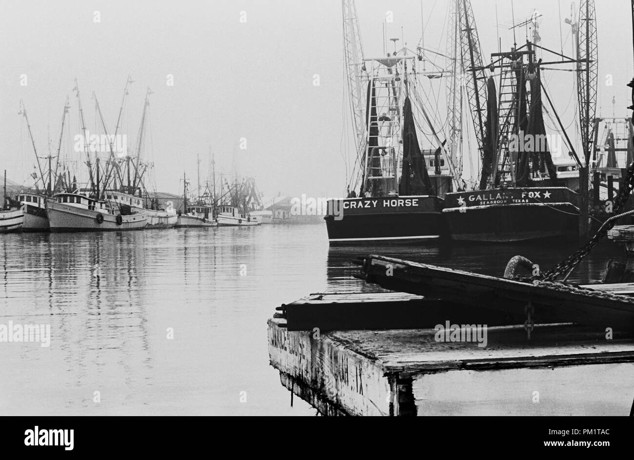 Gamberi di lavoro barca sulla costa del golfo degli Stati Uniti cattura selvatici freschi di gamberi e ostriche. Foto Stock