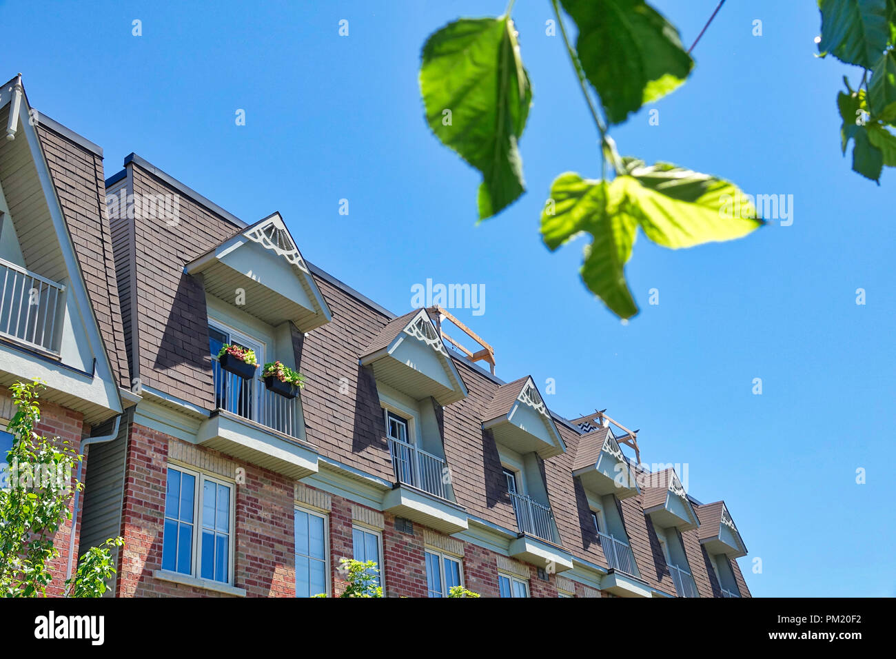 Nuova costruzione case a schiera in una elegante zona residenziale Foto Stock