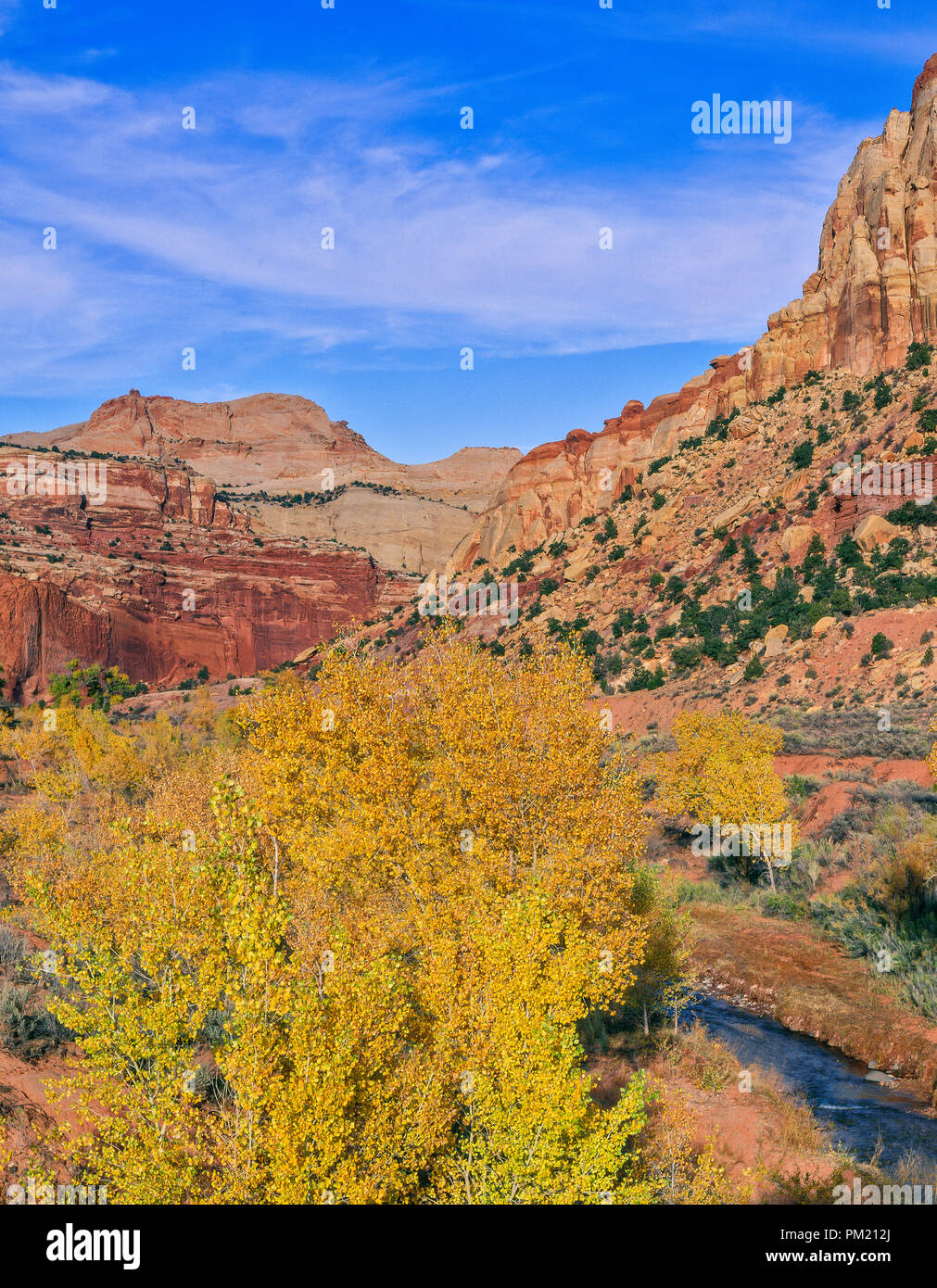 Piacevole Creek, Capitol Reef National Park nello Utah Foto Stock