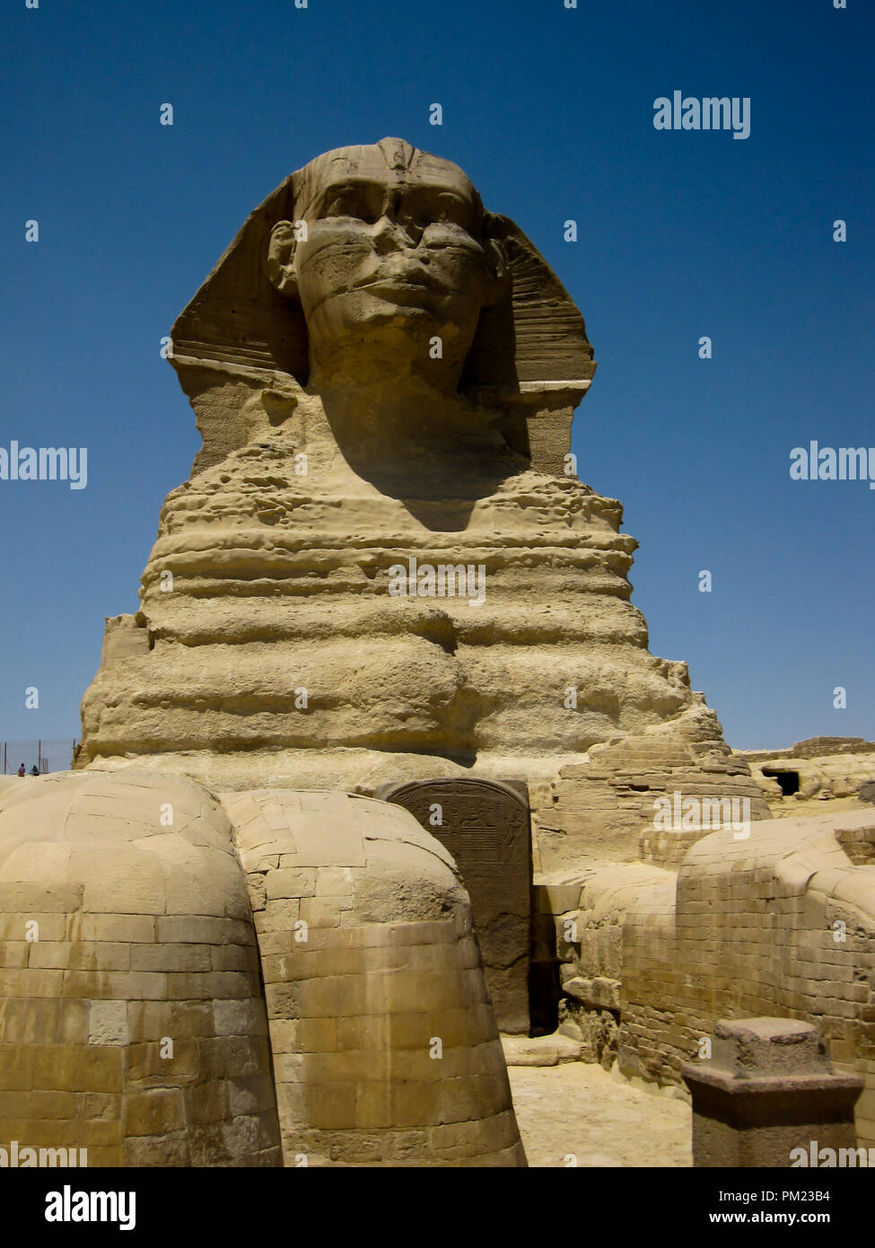 Close up viste la Grande Sfinge di Giza in Egitto in una limitata area di accesso. Questo è un importante destinazione turistica e importante sito archeologico. Foto Stock