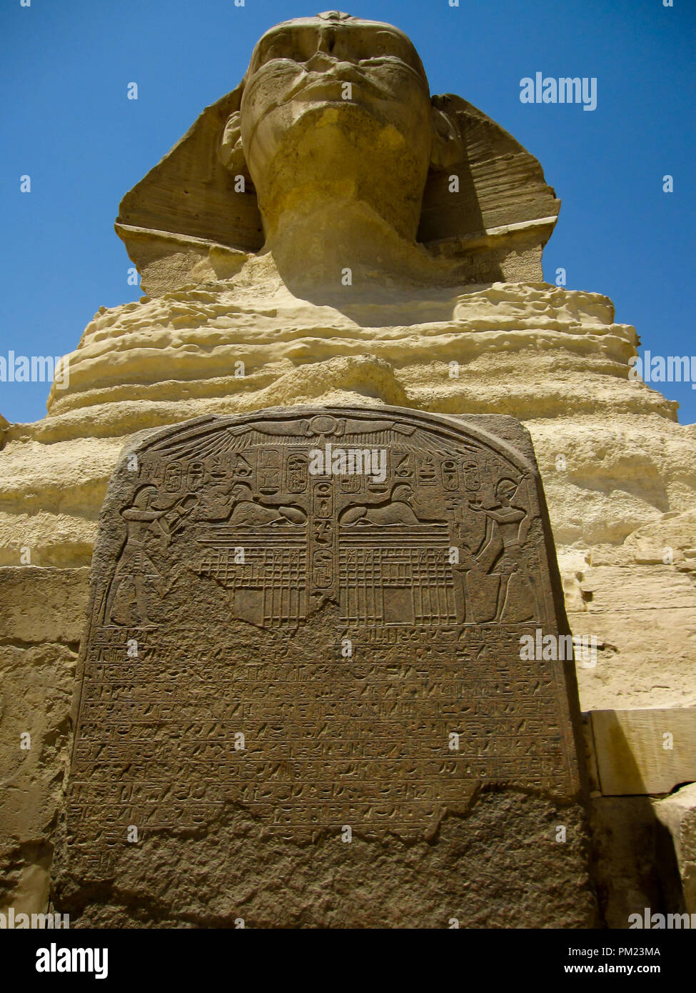 Close up viste la Grande Sfinge di Giza in Egitto in una limitata area di accesso. Questo è un importante destinazione turistica e importante sito archeologico. Foto Stock